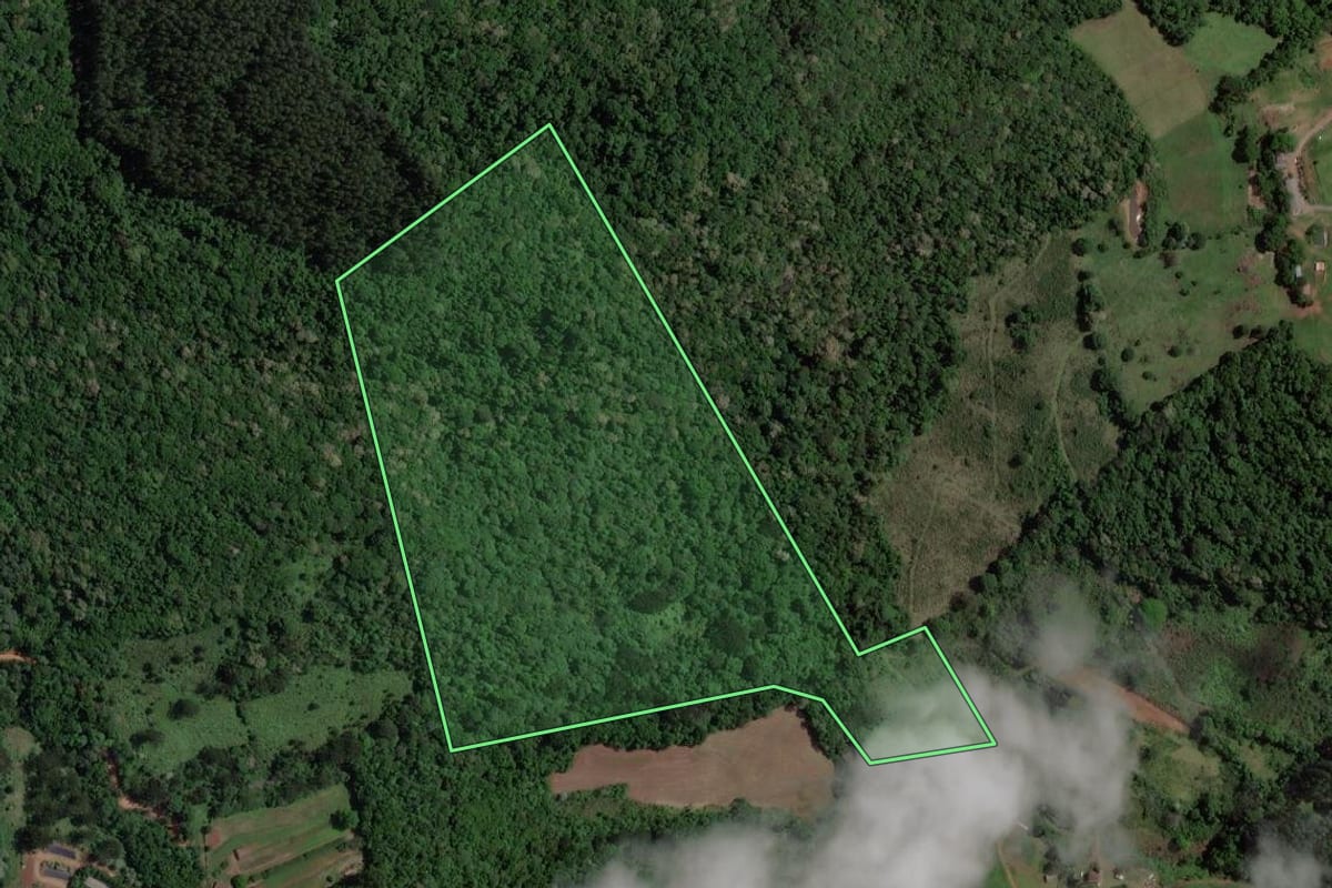 Imagem de satélite do imóvel rural em Concórdia (SC), com o contorno declarado no CAR desenhado por cima.