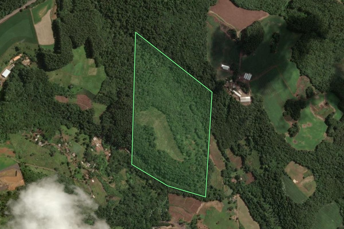 Imagem de satélite do imóvel rural em Concórdia (SC), com o contorno declarado no CAR desenhado por cima.