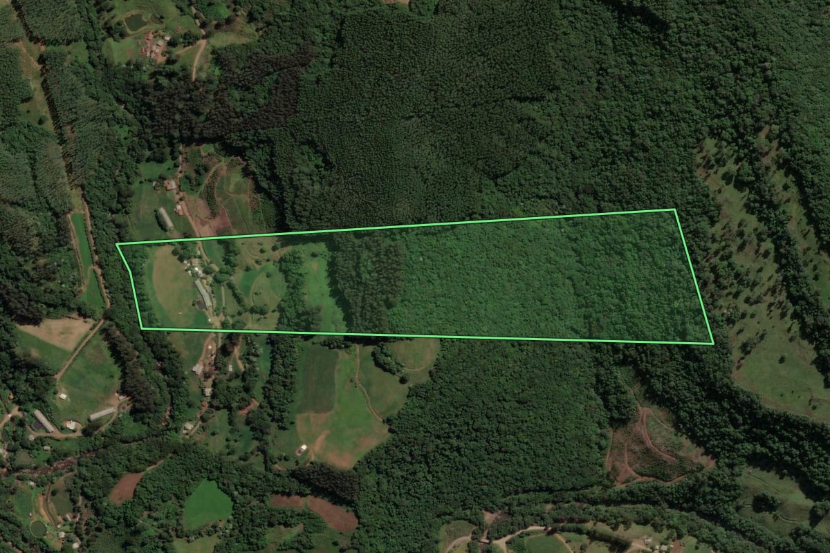 Imagem de satélite do imóvel rural em Concórdia (SC), com o contorno declarado no CAR desenhado por cima.
