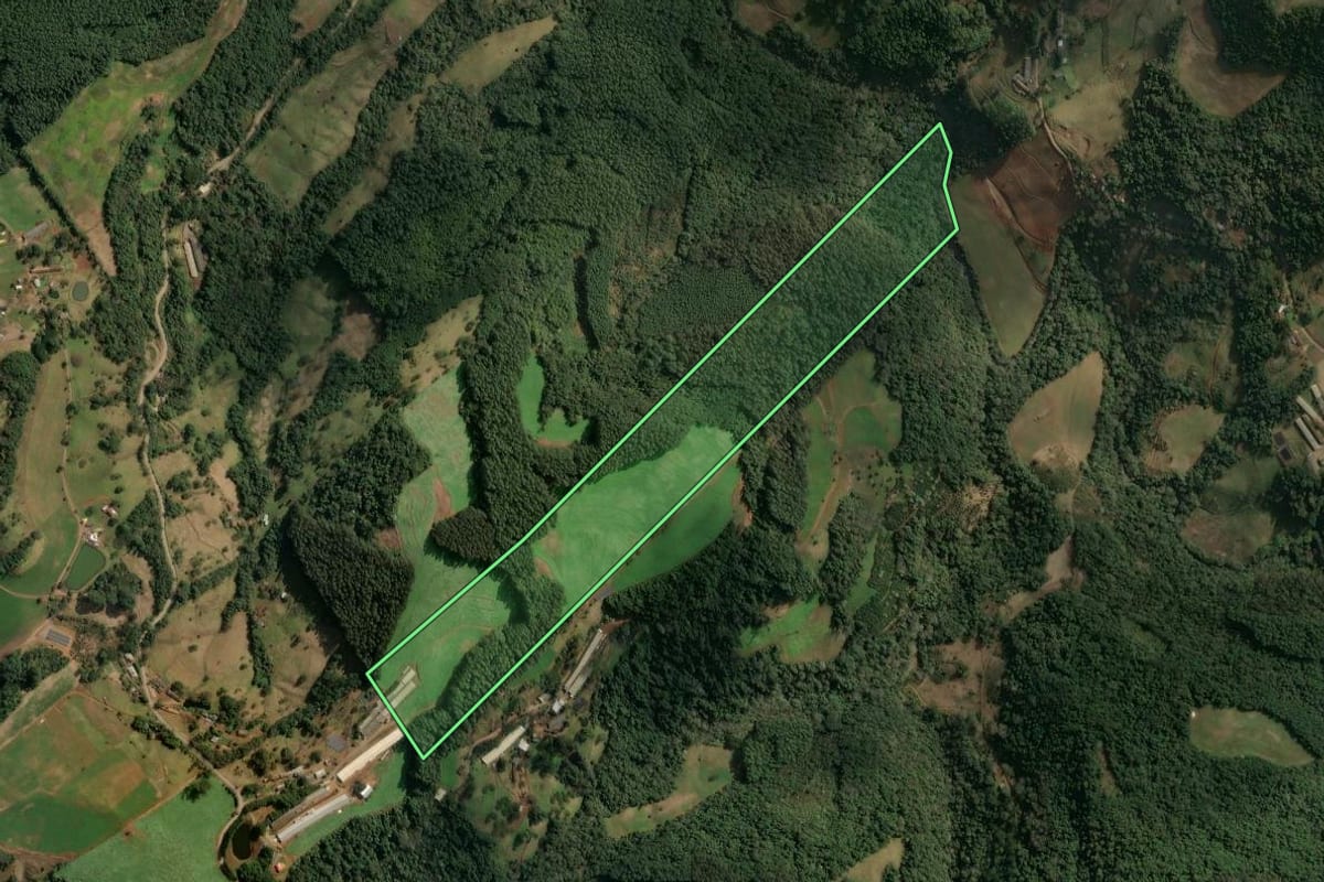 Imagem de satélite do imóvel rural em Concórdia (SC), com o contorno declarado no CAR desenhado por cima.