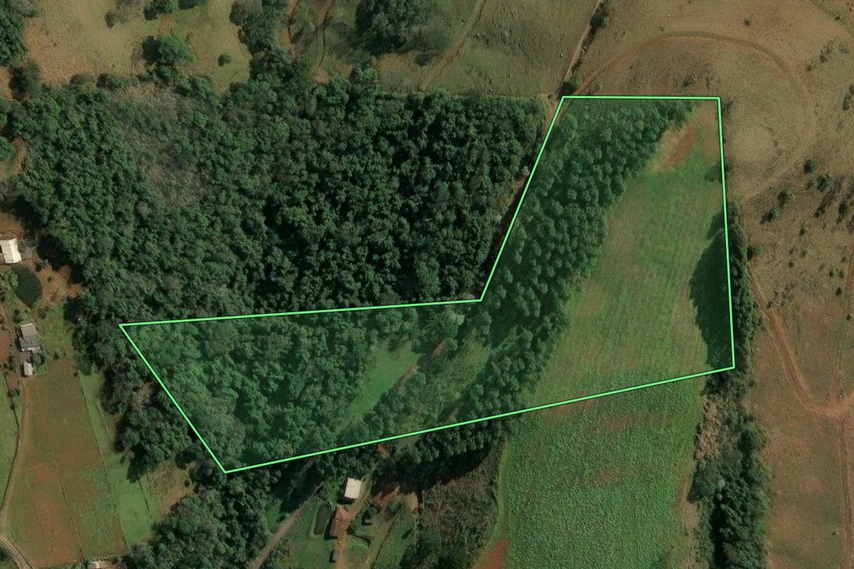Imagem de satélite do imóvel rural em Concórdia (SC), com o contorno declarado no CAR desenhado por cima.