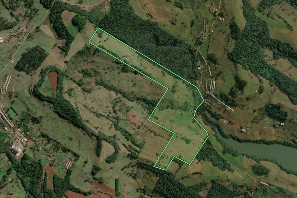 Imagem de satélite do imóvel rural em Concórdia (SC), com o contorno declarado no CAR desenhado por cima.