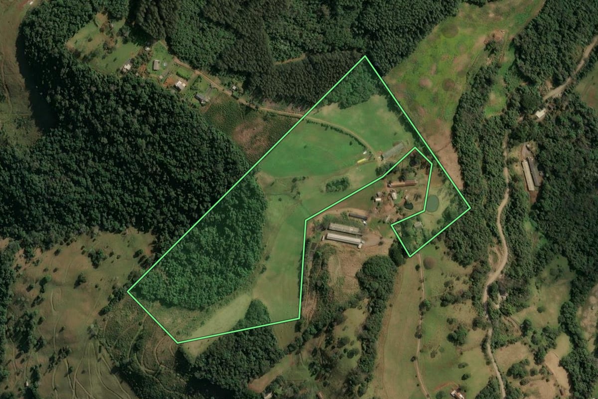 Imagem de satélite do imóvel rural em Concórdia (SC), com o contorno declarado no CAR desenhado por cima.