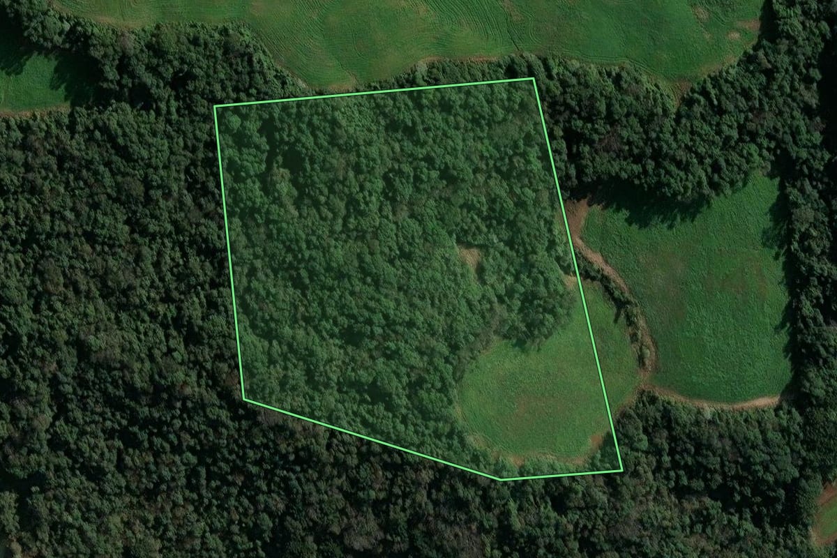 Imagem de satélite do imóvel rural em Concórdia (SC), com o contorno declarado no CAR desenhado por cima.