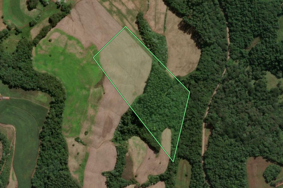 Imagem de satélite do imóvel rural em Concórdia (SC), com o contorno declarado no CAR desenhado por cima.