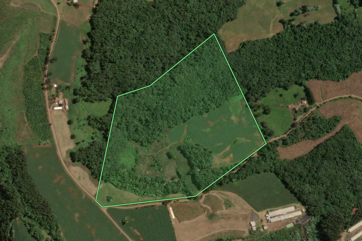 Imagem de satélite do imóvel rural em Concórdia (SC), com o contorno declarado no CAR desenhado por cima.