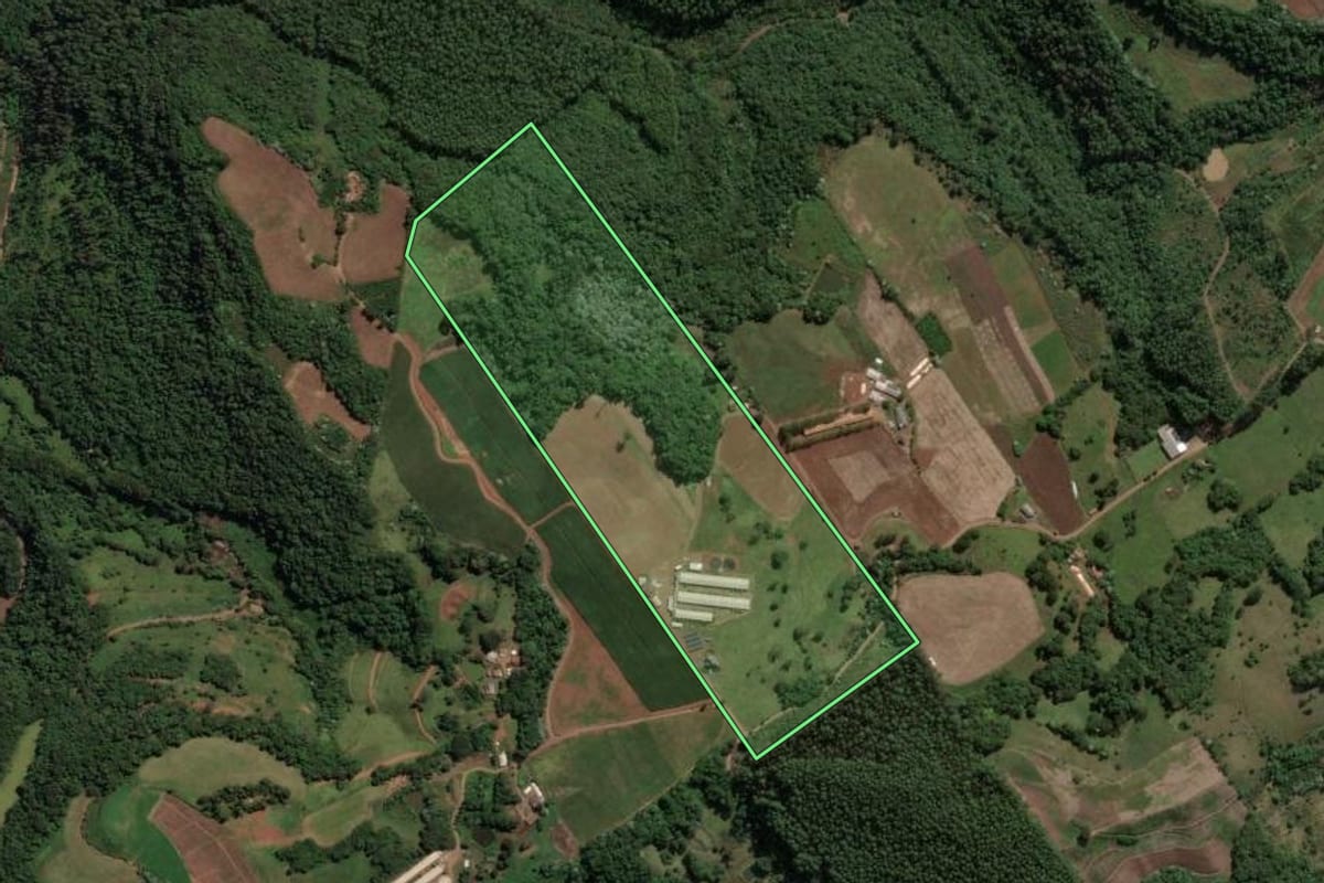 Imagem de satélite do imóvel rural em Concórdia (SC), com o contorno declarado no CAR desenhado por cima.