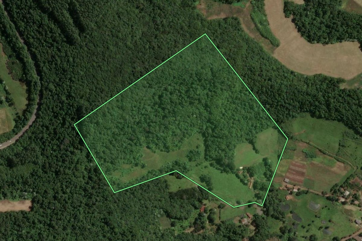 Imagem de satélite do imóvel rural em Concórdia (SC), com o contorno declarado no CAR desenhado por cima.