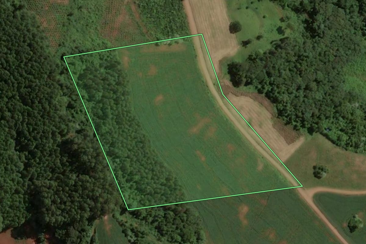 Imagem de satélite do imóvel rural em Concórdia (SC), com o contorno declarado no CAR desenhado por cima.