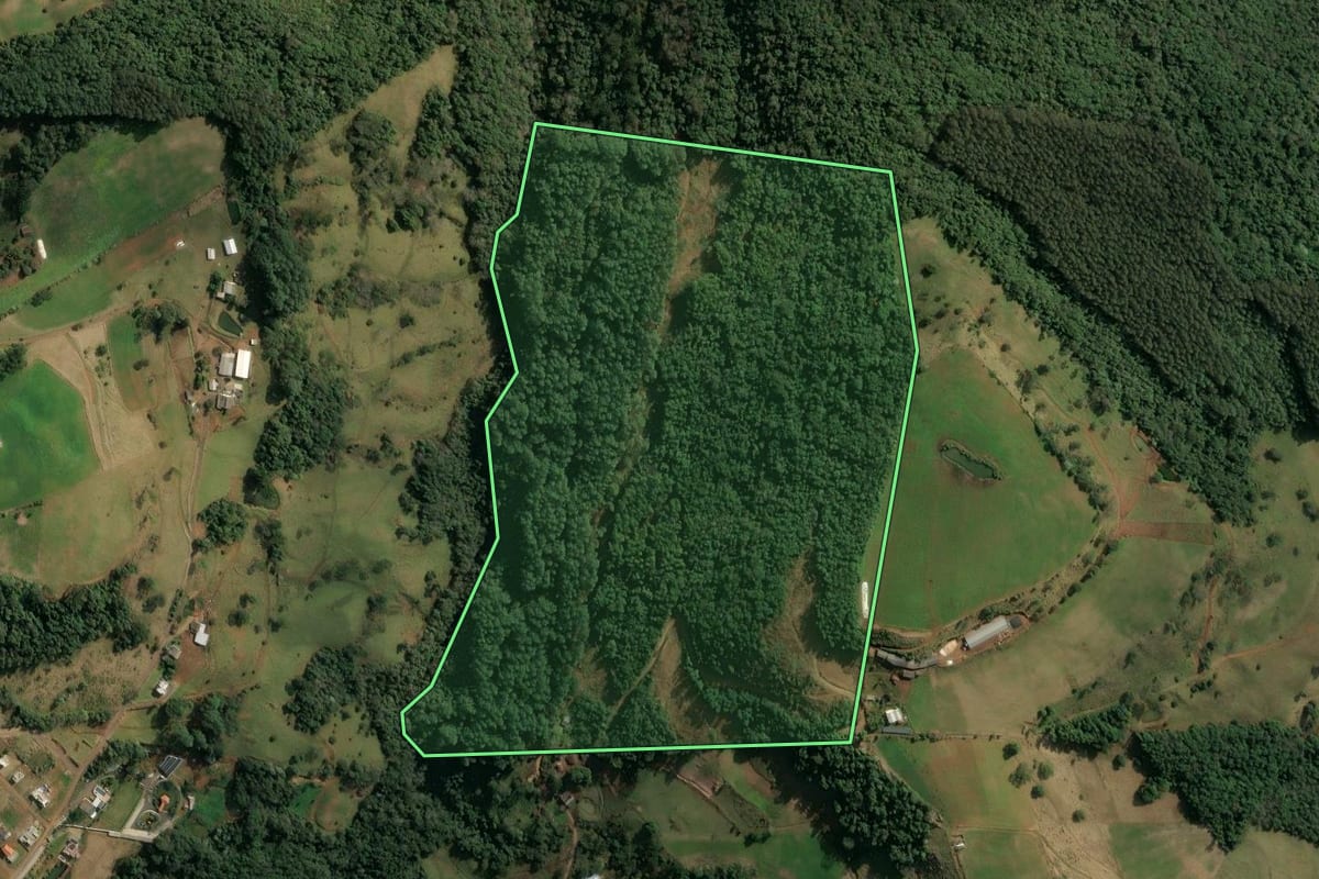 Imagem de satélite do imóvel rural em Concórdia (SC), com o contorno declarado no CAR desenhado por cima.