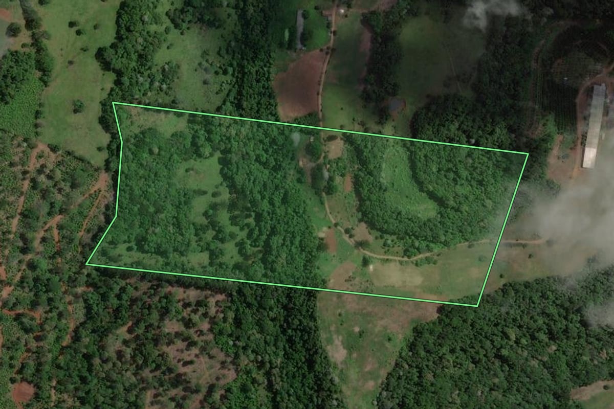 Imagem de satélite do imóvel rural em Concórdia (SC), com o contorno declarado no CAR desenhado por cima.