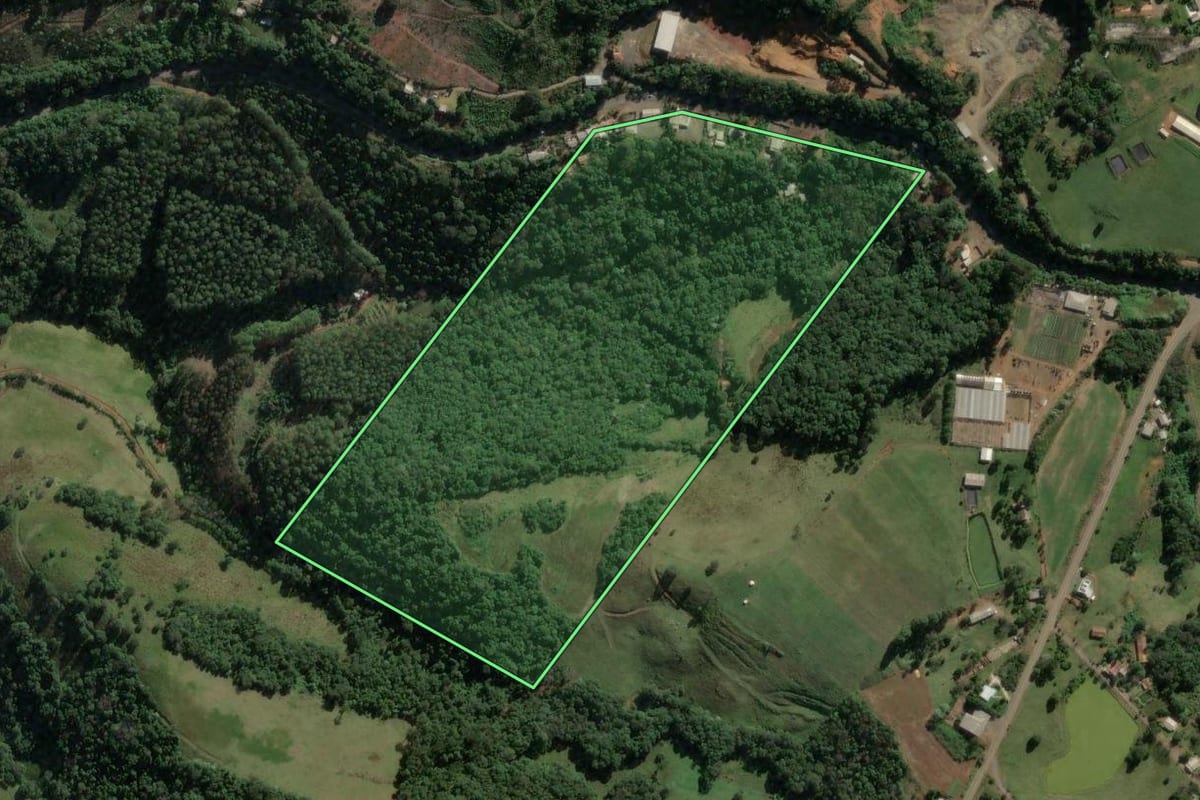 Imagem de satélite do imóvel rural em Concórdia (SC), com o contorno declarado no CAR desenhado por cima.