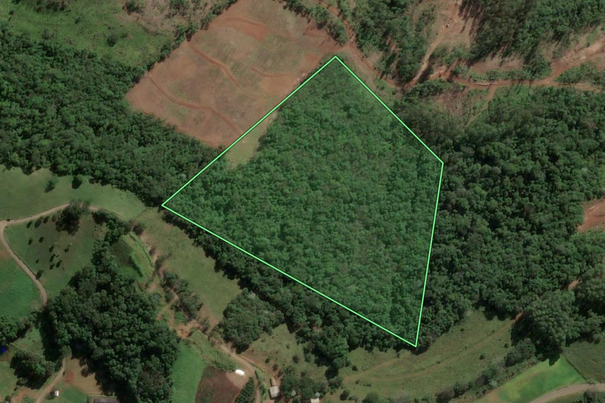 Imagem de satélite do imóvel rural em Concórdia (SC), com o contorno declarado no CAR desenhado por cima.