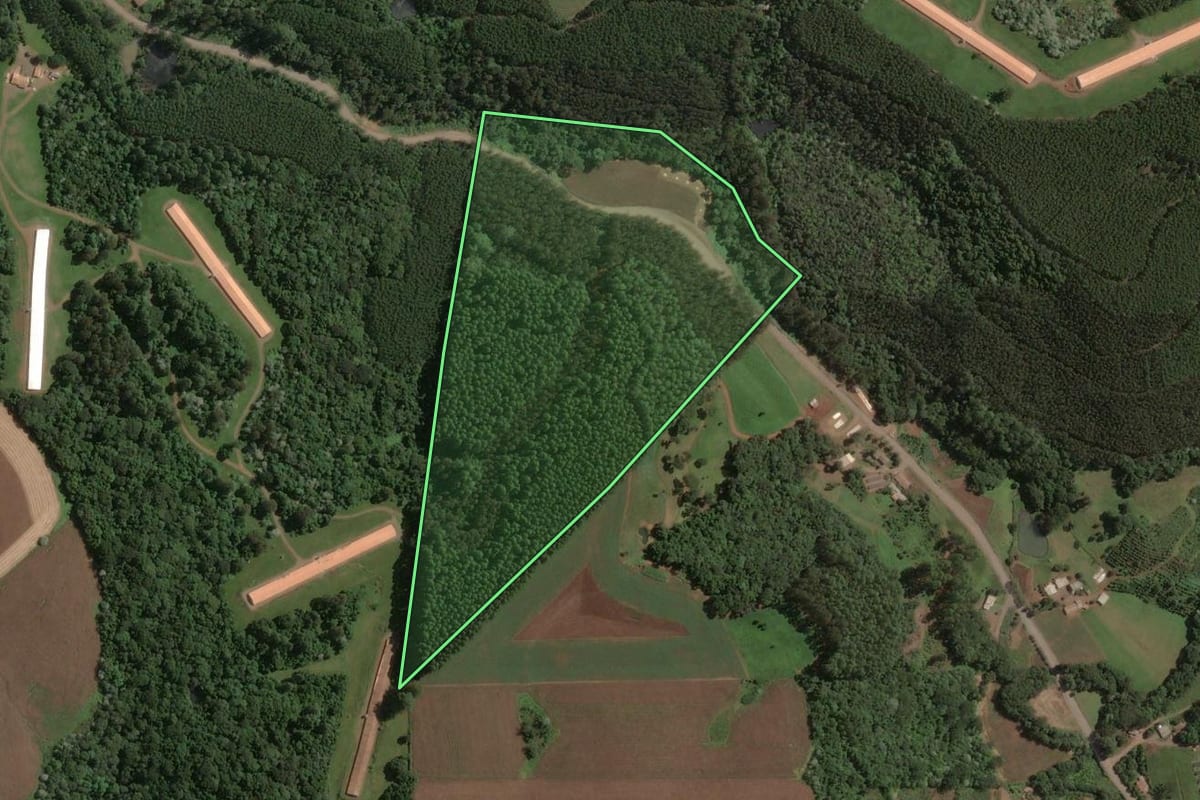 Imagem de satélite do imóvel rural em Concórdia (SC), com o contorno declarado no CAR desenhado por cima.