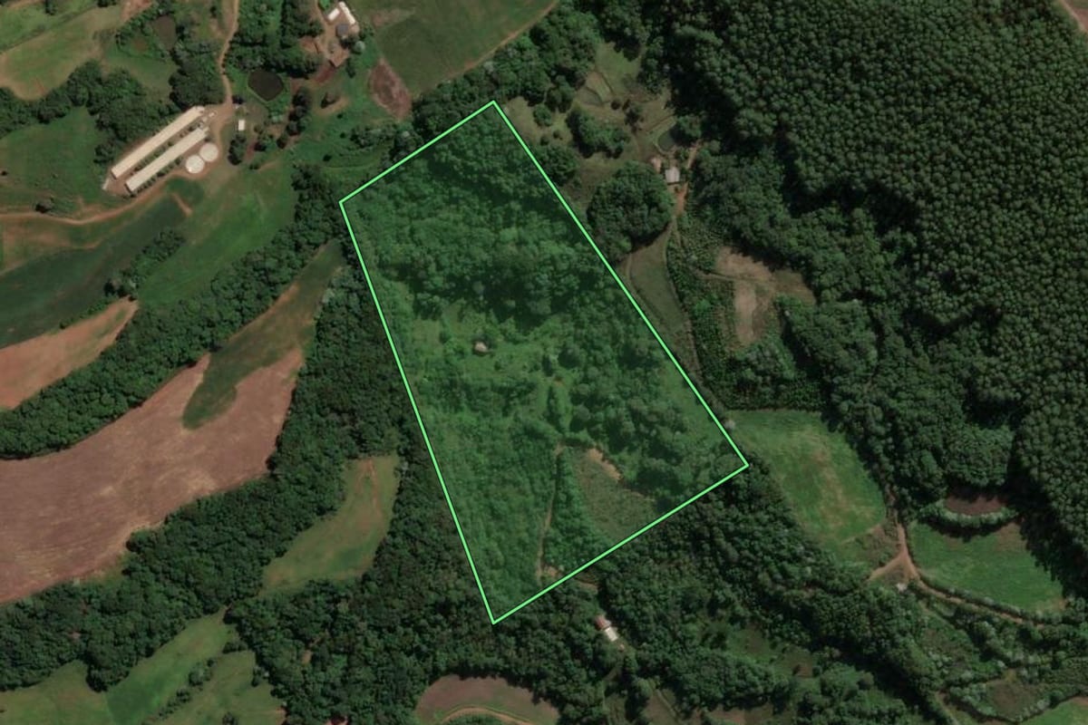 Imagem de satélite do imóvel rural em Concórdia (SC), com o contorno declarado no CAR desenhado por cima.