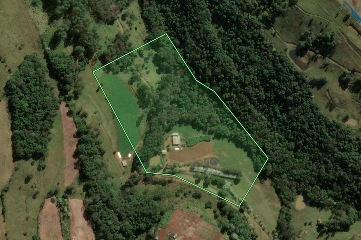 Imagem de satélite do imóvel rural em Concórdia (SC), com o contorno declarado no CAR desenhado por cima.