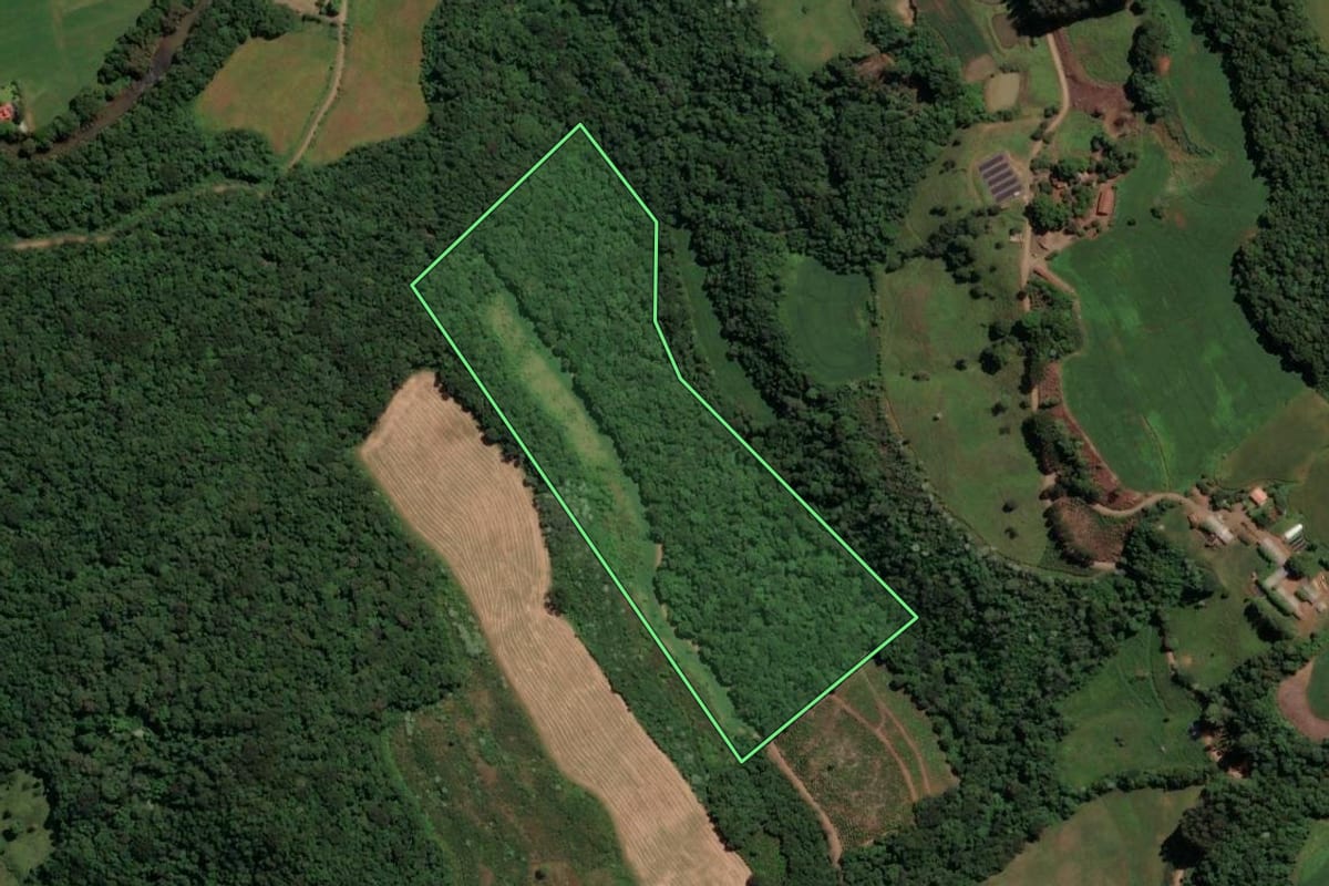 Imagem de satélite do imóvel rural em Concórdia (SC), com o contorno declarado no CAR desenhado por cima.