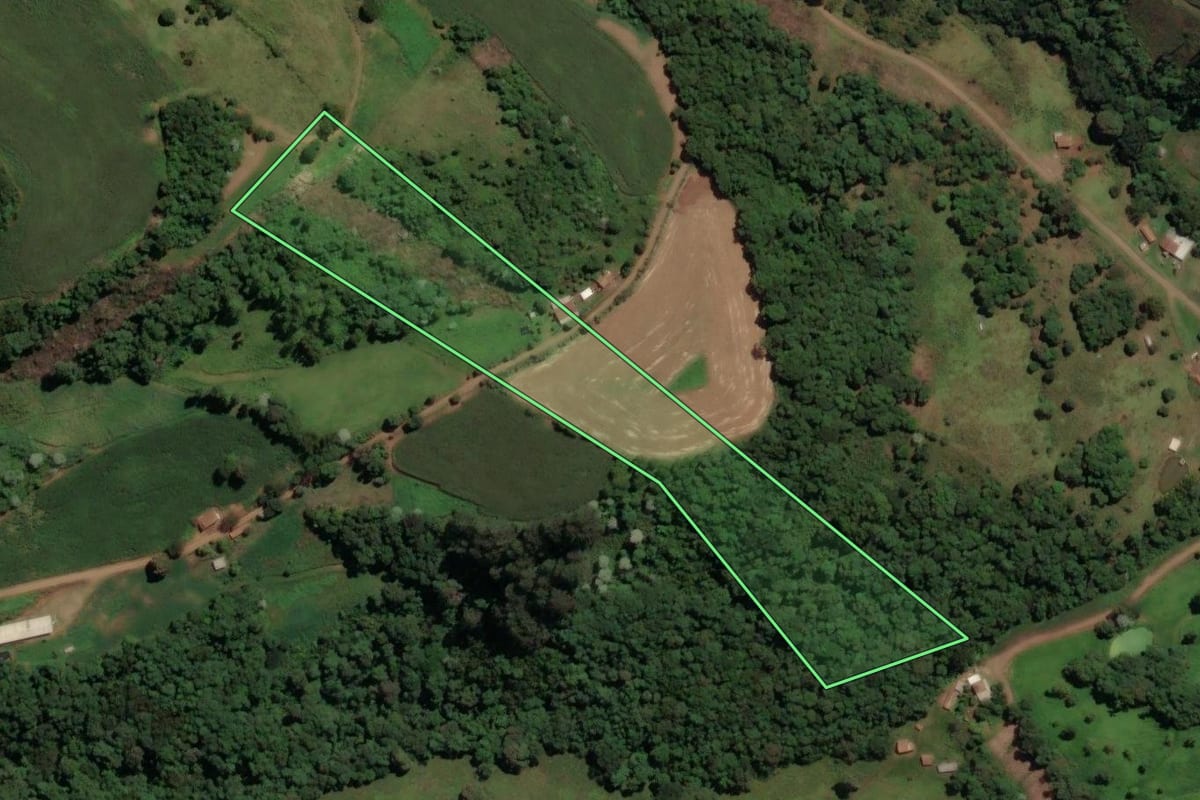 Imagem de satélite do imóvel rural em Concórdia (SC), com o contorno declarado no CAR desenhado por cima.
