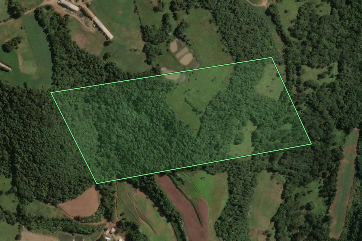 Imagem de satélite do imóvel rural em Concórdia (SC), com o contorno declarado no CAR desenhado por cima.