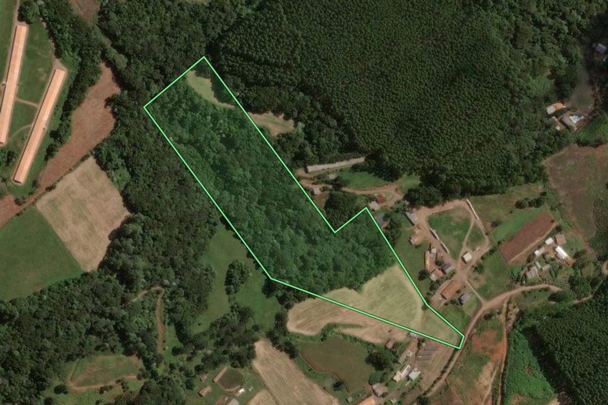 Imagem de satélite do imóvel rural em Concórdia (SC), com o contorno declarado no CAR desenhado por cima.