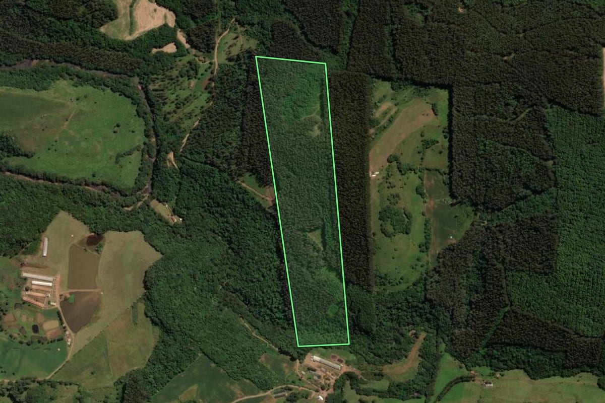 Imagem de satélite do imóvel rural em Concórdia (SC), com o contorno declarado no CAR desenhado por cima.