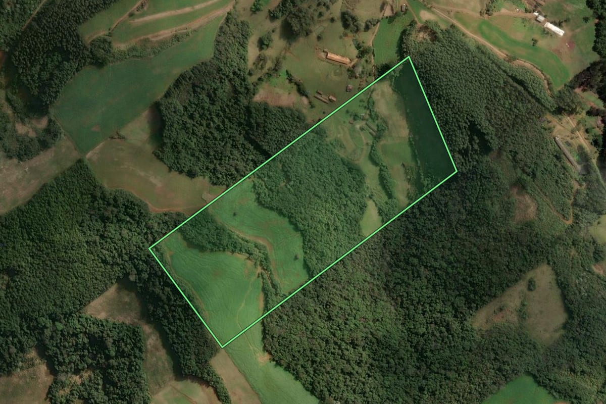Imagem de satélite do imóvel rural em Concórdia (SC), com o contorno declarado no CAR desenhado por cima.