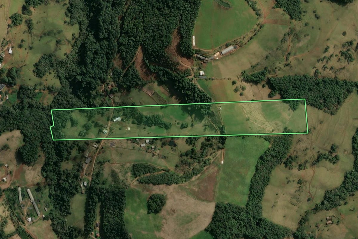 Imagem de satélite do imóvel rural em Concórdia (SC), com o contorno declarado no CAR desenhado por cima.