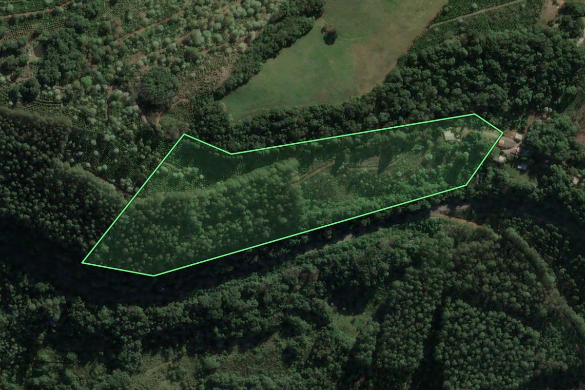 Imagem de satélite do imóvel rural em Concórdia (SC), com o contorno declarado no CAR desenhado por cima.