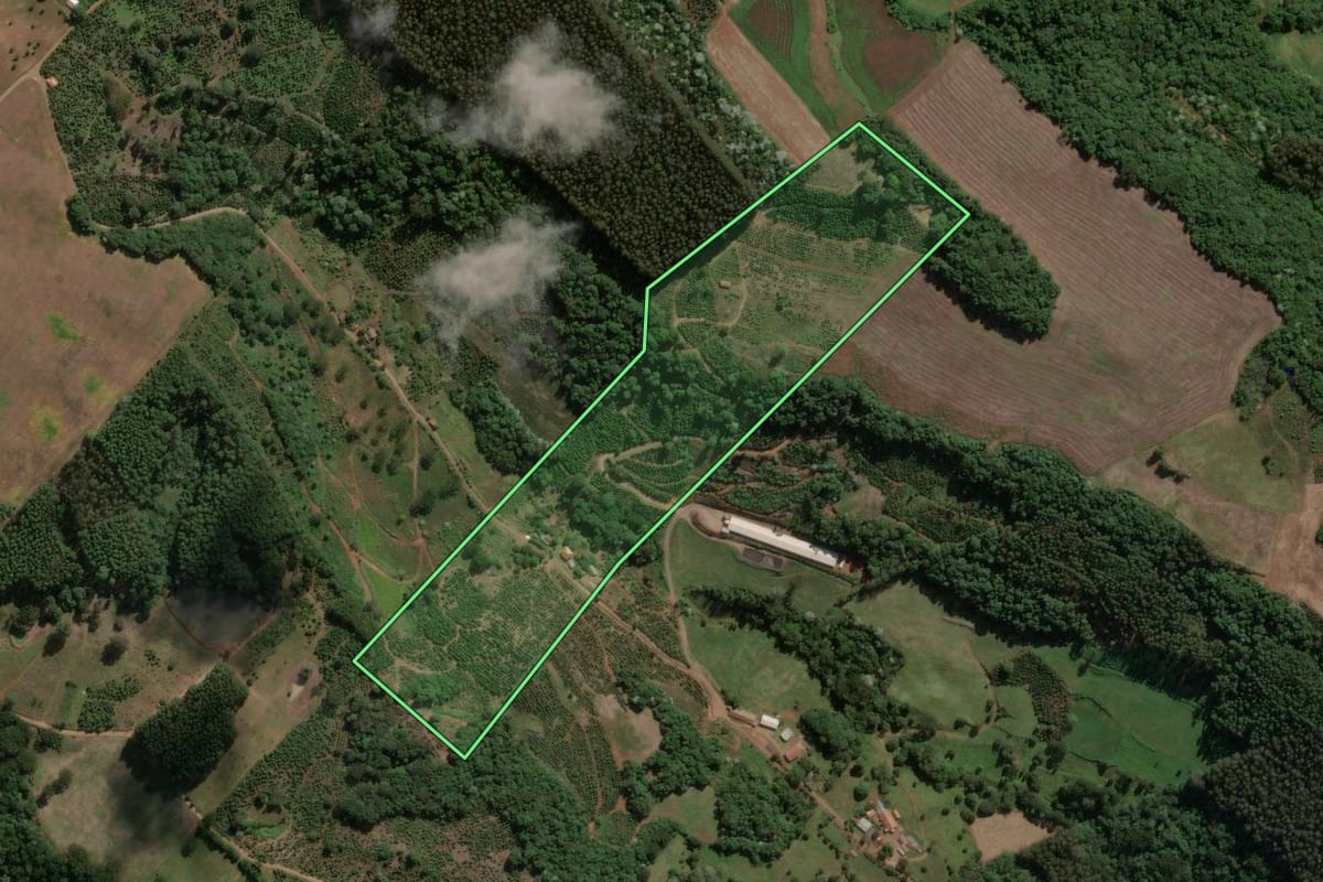 Imagem de satélite do imóvel rural em Concórdia (SC), com o contorno declarado no CAR desenhado por cima.