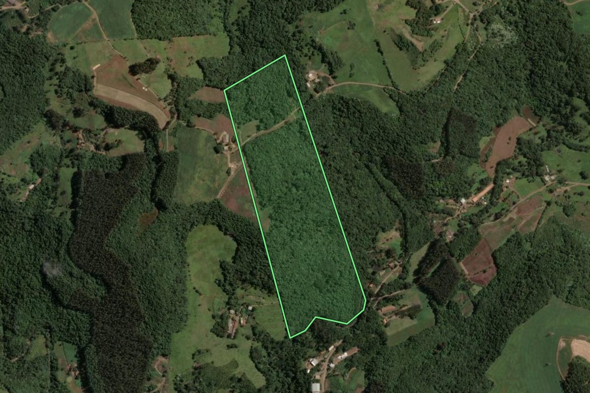 Imagem de satélite do imóvel rural em Concórdia (SC), com o contorno declarado no CAR desenhado por cima.
