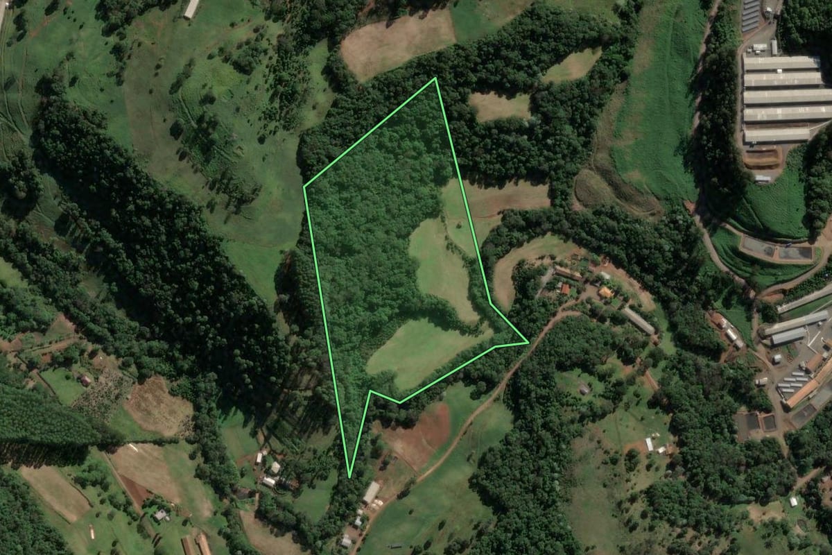 Imagem de satélite do imóvel rural em Concórdia (SC), com o contorno declarado no CAR desenhado por cima.