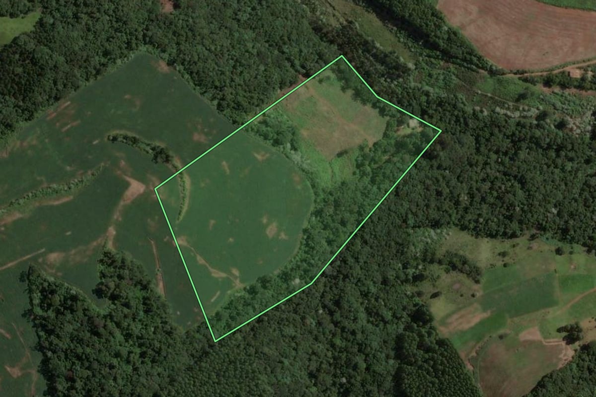 Imagem de satélite do imóvel rural em Concórdia (SC), com o contorno declarado no CAR desenhado por cima.