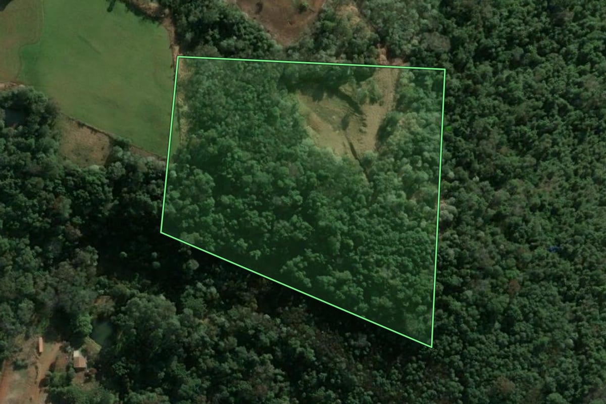Imagem de satélite do imóvel rural em Concórdia (SC), com o contorno declarado no CAR desenhado por cima.