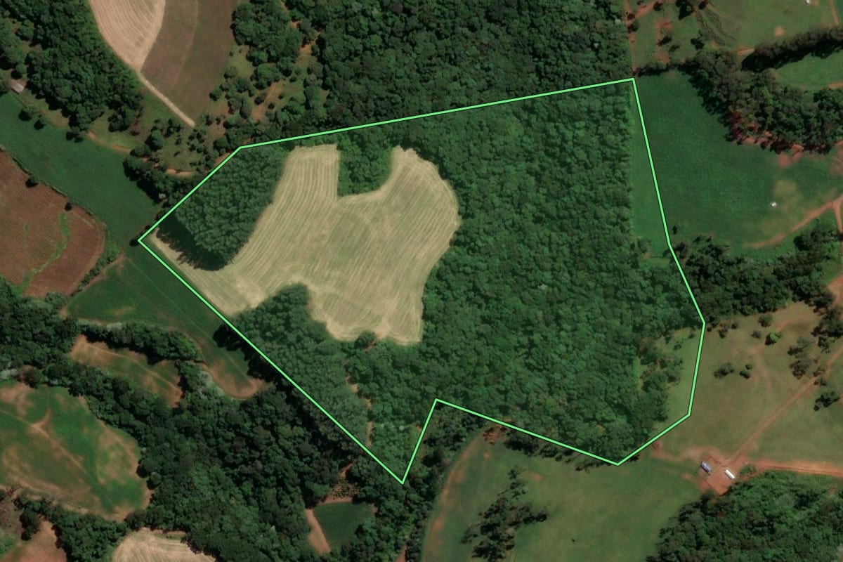 Imagem de satélite do imóvel rural em Concórdia (SC), com o contorno declarado no CAR desenhado por cima.