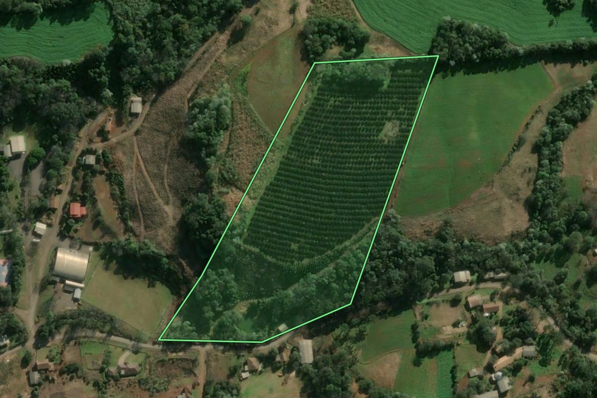 Imagem de satélite do imóvel rural em Concórdia (SC), com o contorno declarado no CAR desenhado por cima.