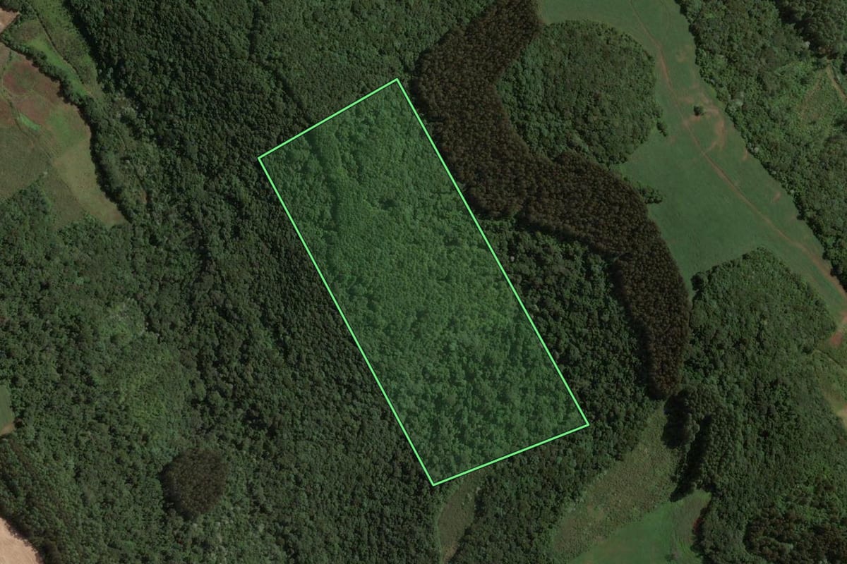 Imagem de satélite do imóvel rural em Concórdia (SC), com o contorno declarado no CAR desenhado por cima.