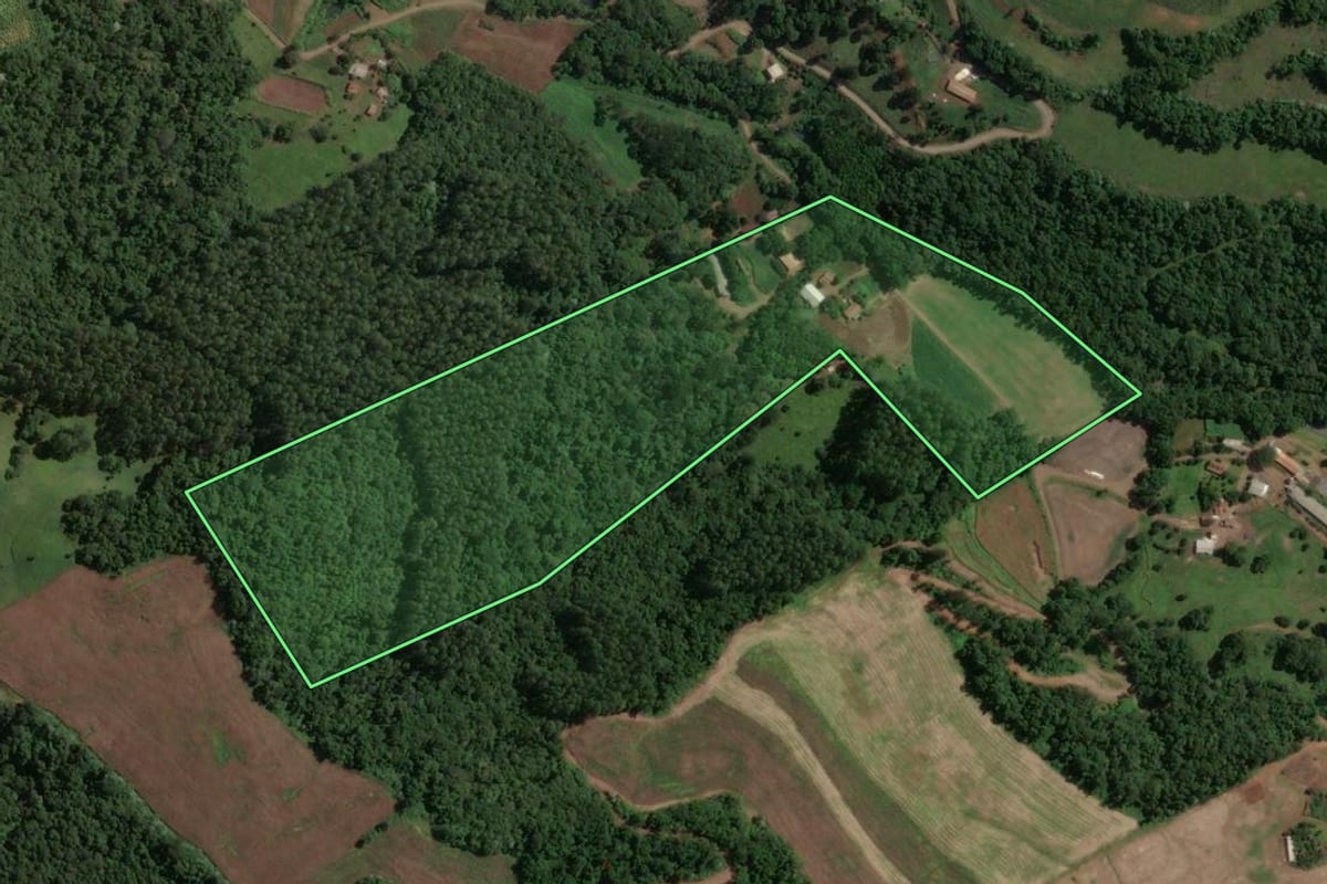 Imagem de satélite do imóvel rural em Concórdia (SC), com o contorno declarado no CAR desenhado por cima.