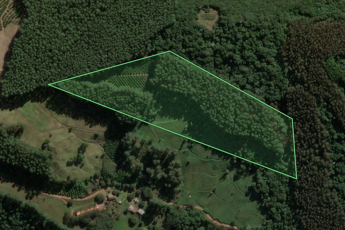 Imagem de satélite do imóvel rural em Concórdia (SC), com o contorno declarado no CAR desenhado por cima.