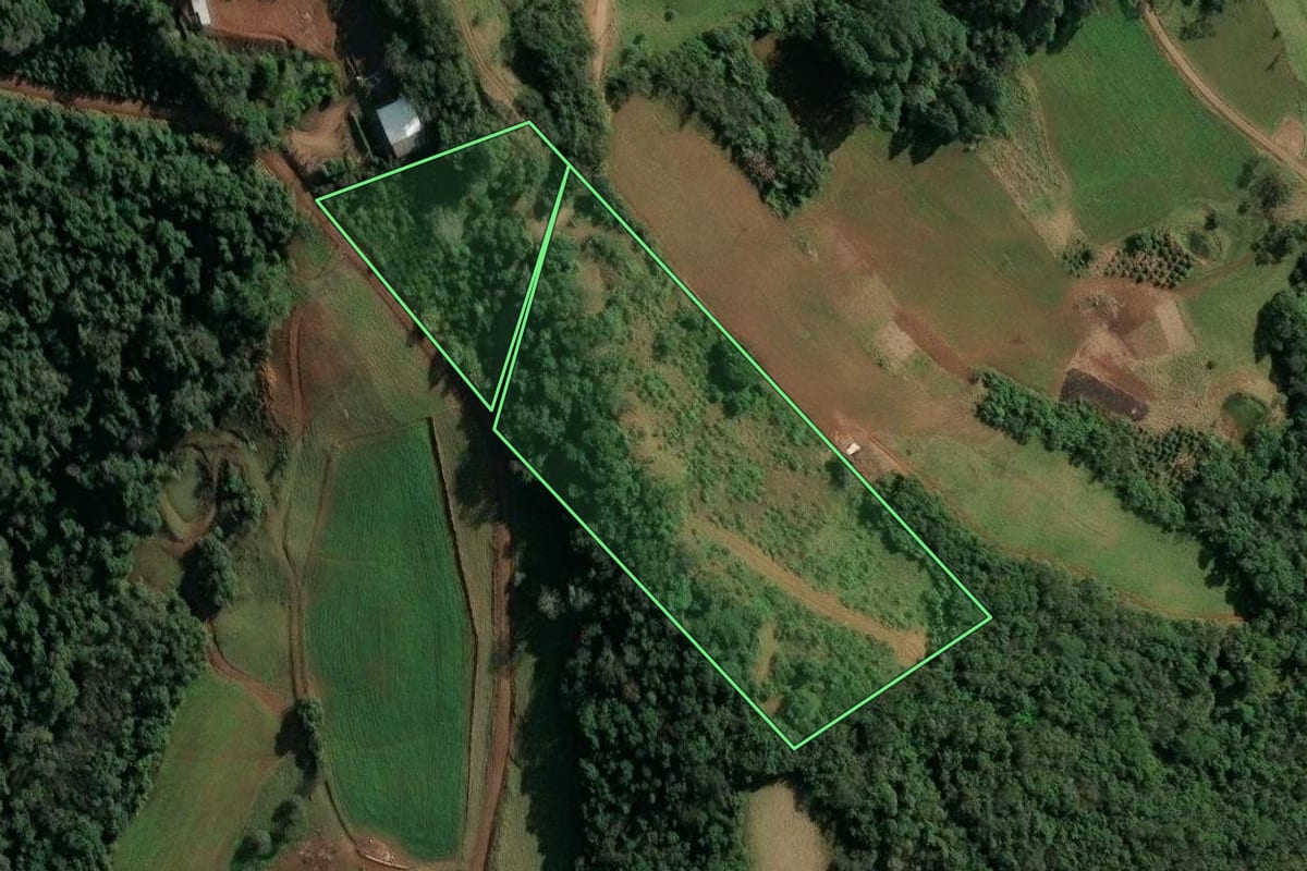 Imagem de satélite do imóvel rural em Concórdia (SC), com o contorno declarado no CAR desenhado por cima.