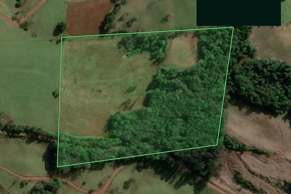 Imagem de satélite do imóvel rural em Concórdia (SC), com o contorno declarado no CAR desenhado por cima.