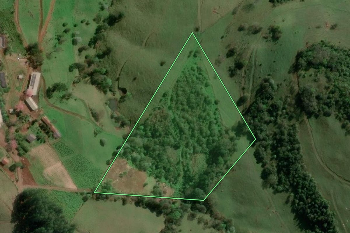 Imagem de satélite do imóvel rural em Concórdia (SC), com o contorno declarado no CAR desenhado por cima.
