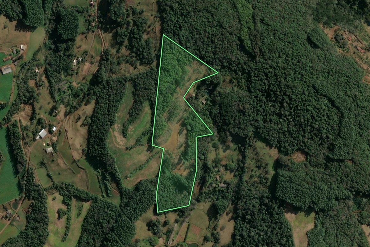 Imagem de satélite do imóvel rural em Concórdia (SC), com o contorno declarado no CAR desenhado por cima.