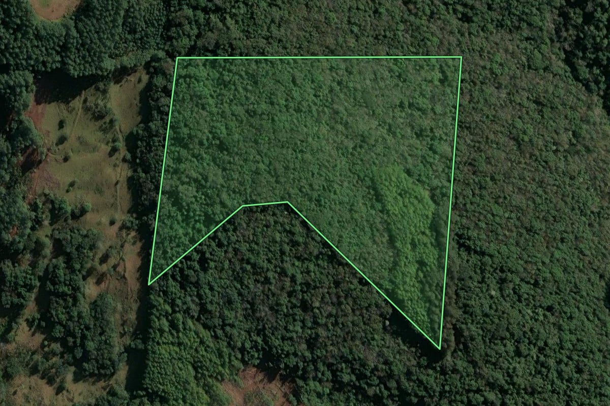 Imagem de satélite do imóvel rural em Concórdia (SC), com o contorno declarado no CAR desenhado por cima.