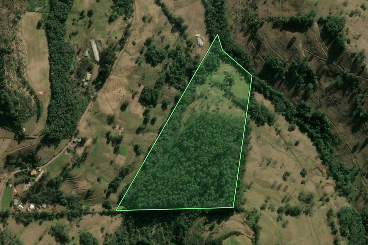 Imagem de satélite do imóvel rural em Concórdia (SC), com o contorno declarado no CAR desenhado por cima.