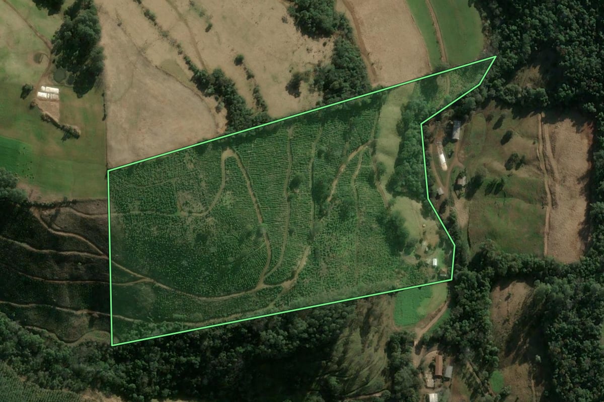 Imagem de satélite do imóvel rural em Concórdia (SC), com o contorno declarado no CAR desenhado por cima.