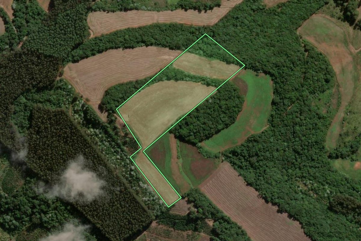Imagem de satélite do imóvel rural em Concórdia (SC), com o contorno declarado no CAR desenhado por cima.