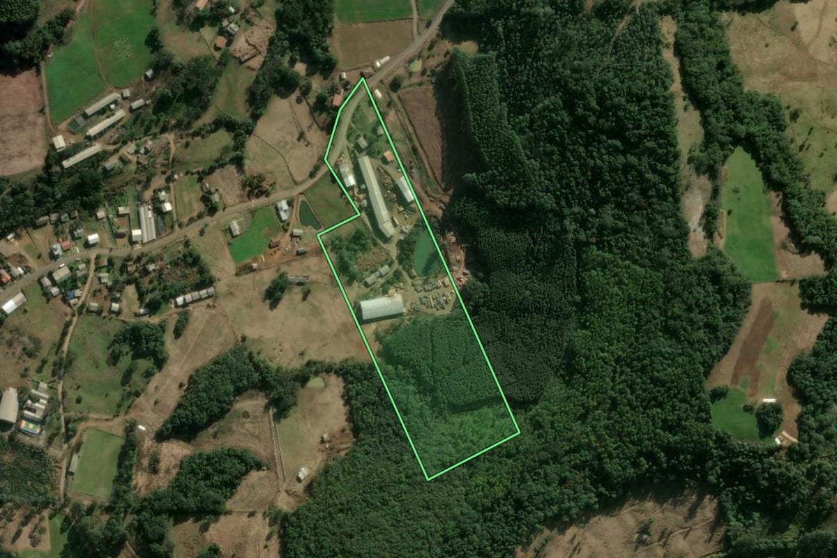 Imagem de satélite do imóvel rural em Concórdia (SC), com o contorno declarado no CAR desenhado por cima.