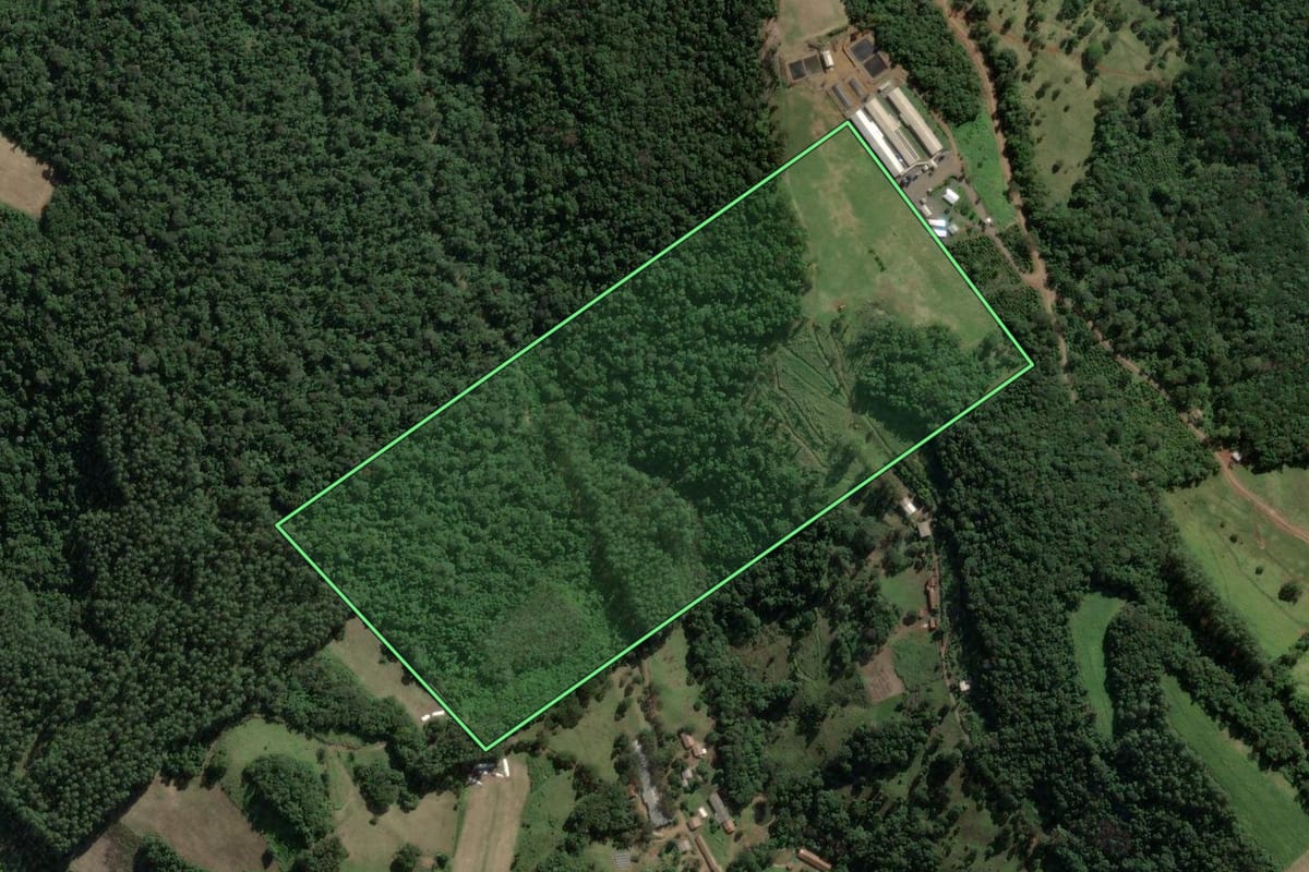 Imagem de satélite do imóvel rural em Concórdia (SC), com o contorno declarado no CAR desenhado por cima.