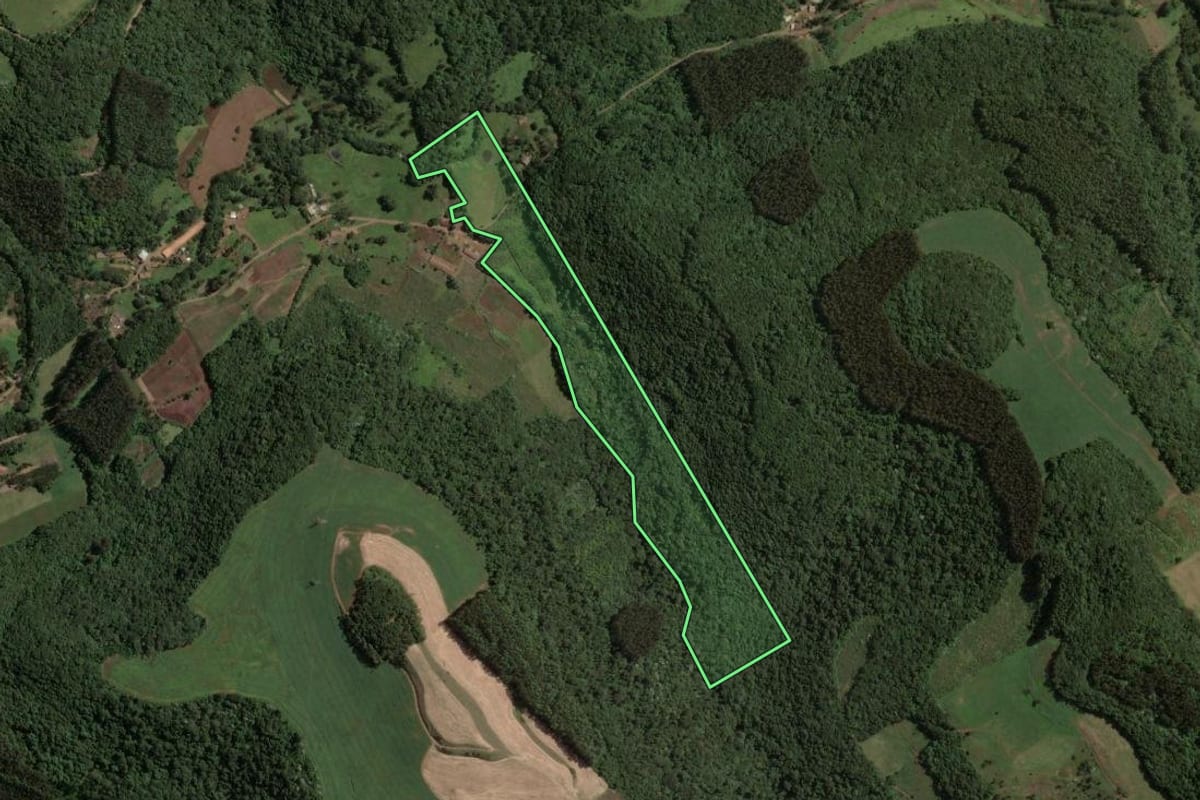 Imagem de satélite do imóvel rural em Concórdia (SC), com o contorno declarado no CAR desenhado por cima.