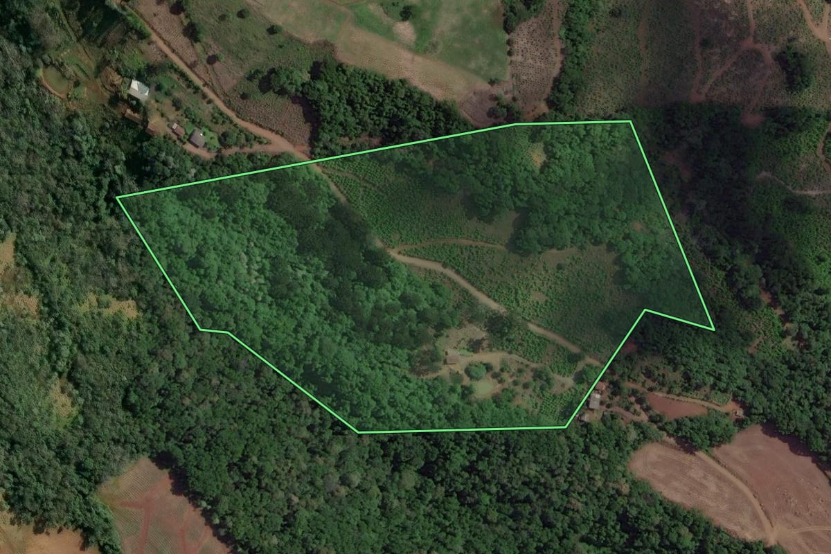 Imagem de satélite do imóvel rural em Concórdia (SC), com o contorno declarado no CAR desenhado por cima.